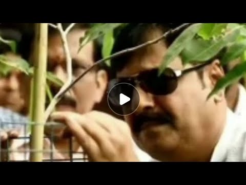 Planting trees#actor vivek#saveearth#viralvideos#shorts#bkshalumotivational#