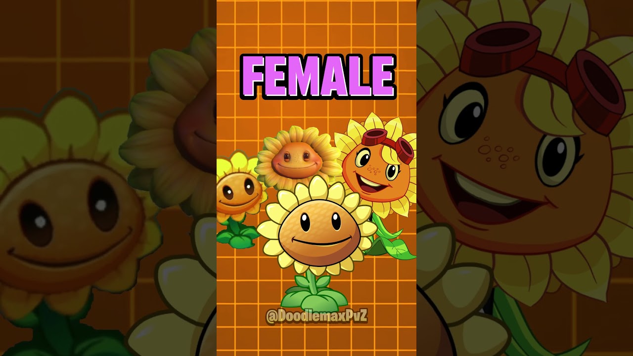 Plants vs Zombies Fact | Sunflower