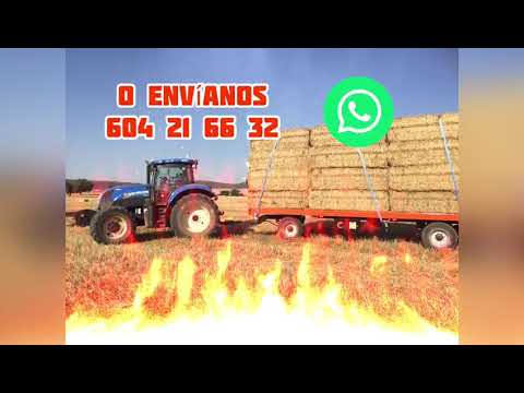 PLATAFORMA 10 METROS  AGRÍCOLA PARA  PAQUETES  DE PAJA 24000KG | Plateau  24 TN | Flatbed 24 TN
