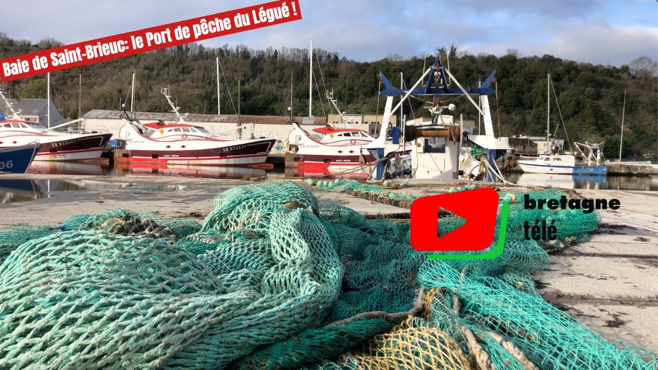 PLÉRIN  |  Port de Pêche de Saint-Brieuc Le Légué |  Bretagne Télé