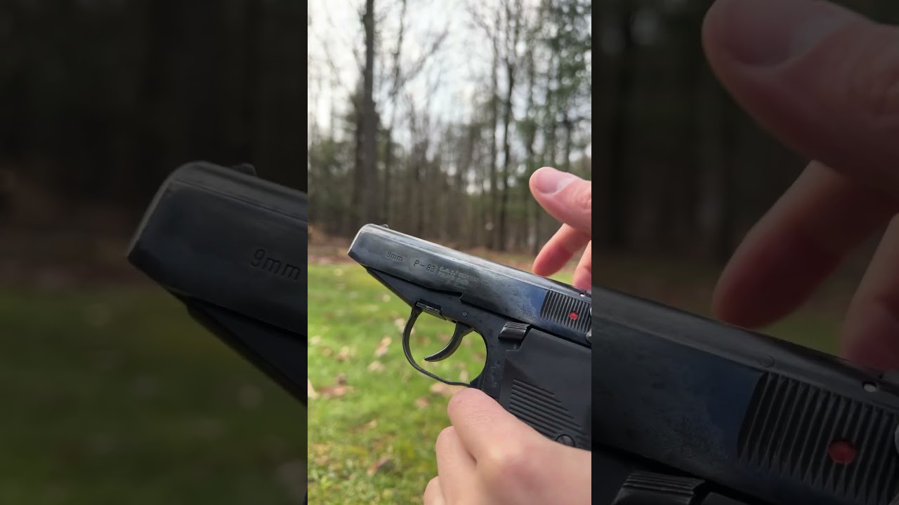 Polish P-83 Wanad #shorts #firearms #handgun