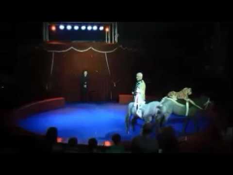 PONEYS2014 2015 01