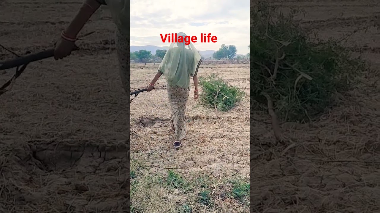 Pooja bhabhi morning workout #viralvideo #ytshorts #creative #trending #vlog #villagelife