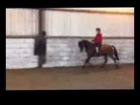Poppy on FiFi (12.2) SP