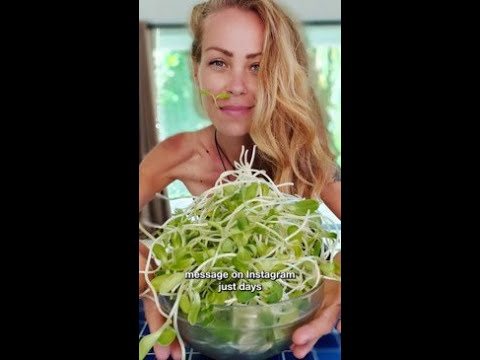 Popular vegan influencer dies of 'starvation'