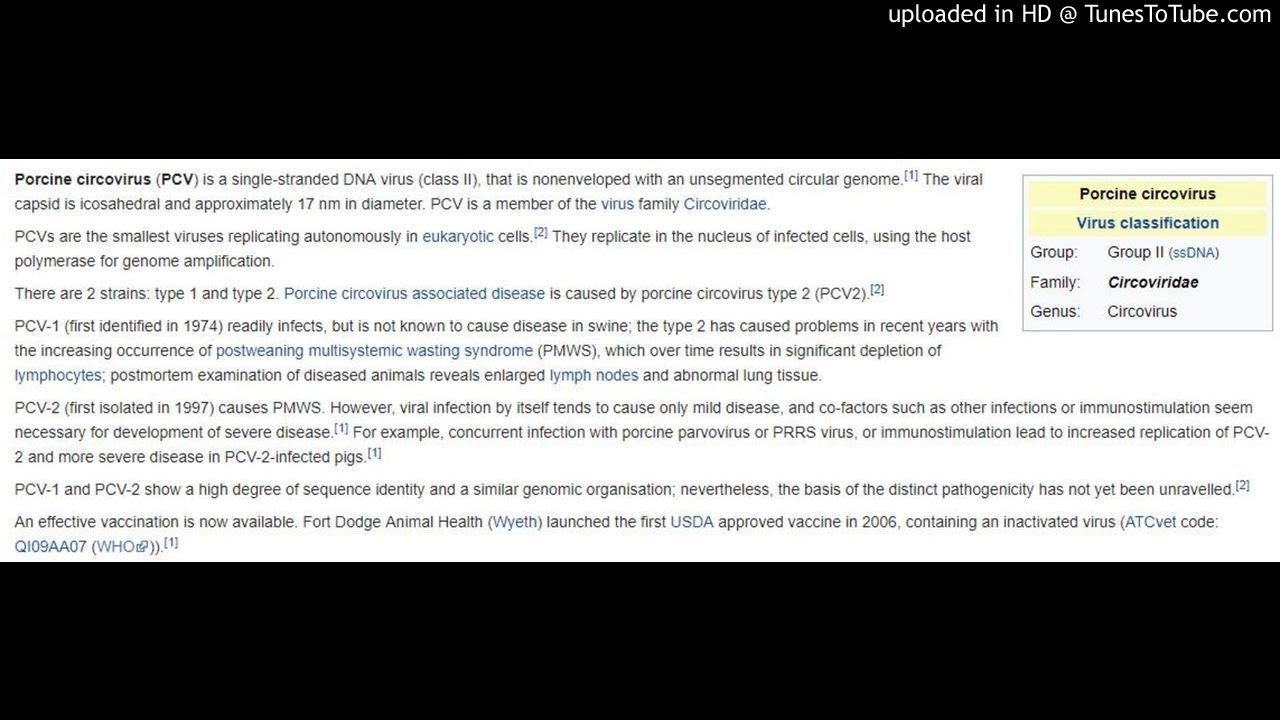 Porcine circovirus 2 (PCV2)