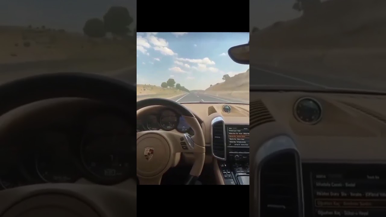 porsche snap