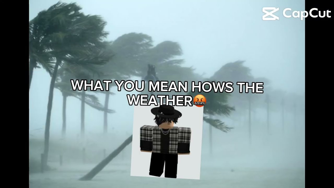 POV: news be like