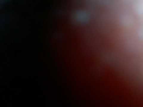 POV Vore