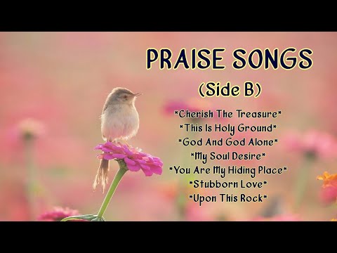 Praise Songs (Side B) MegaMedia Artists