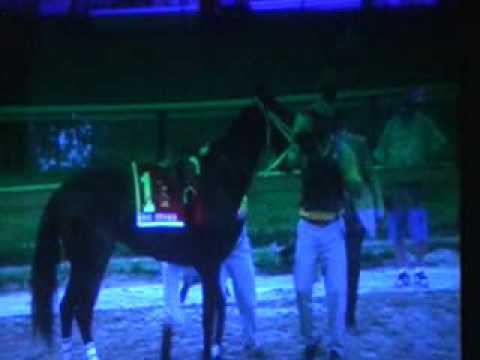 preakness stakes 2009