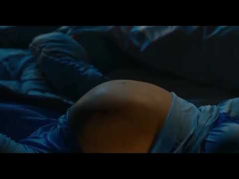 Pregnant wolf belly