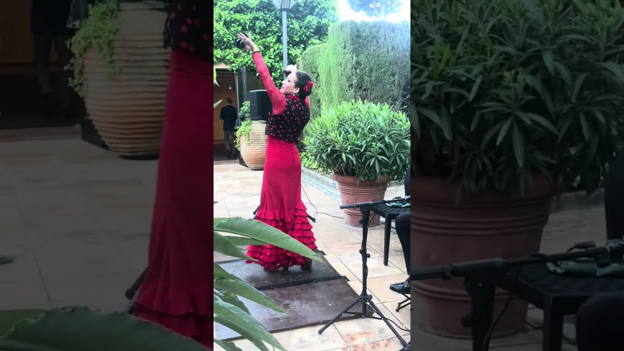 Private Flamenco Show at Costa Brava