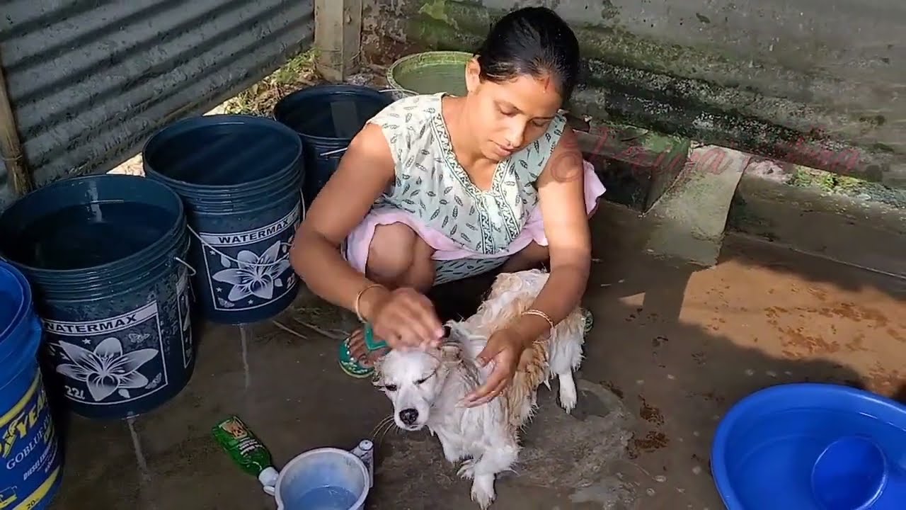 Priya vLog 🐕