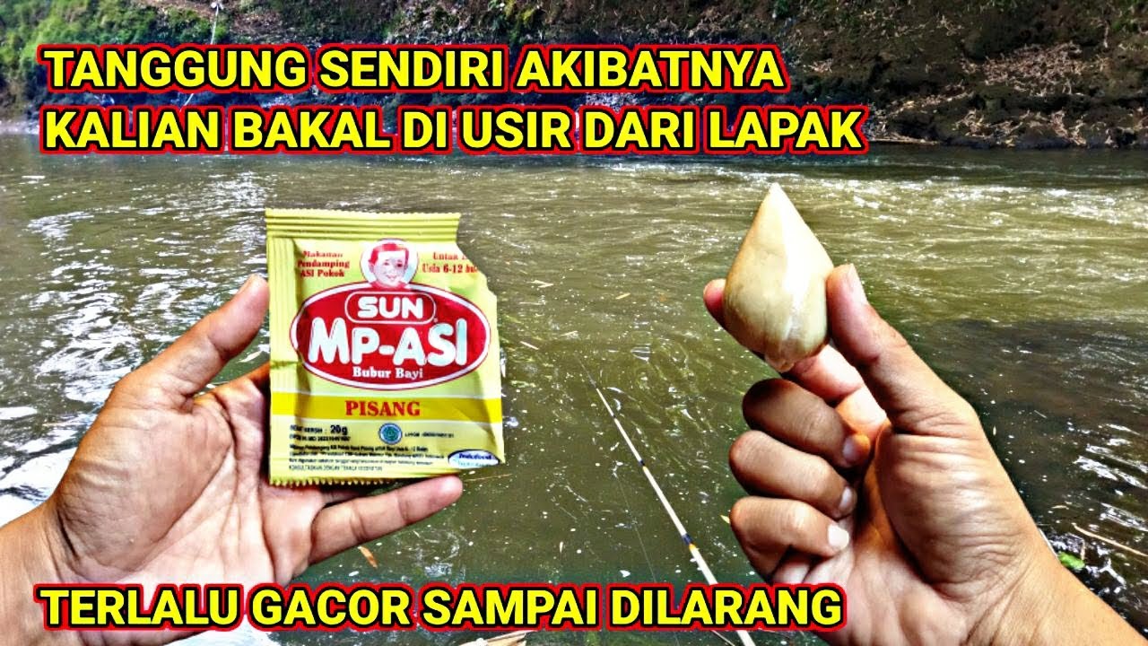 PROHIBITED BAIT‼️NEVER USE SUN PORRIDGE BAIT