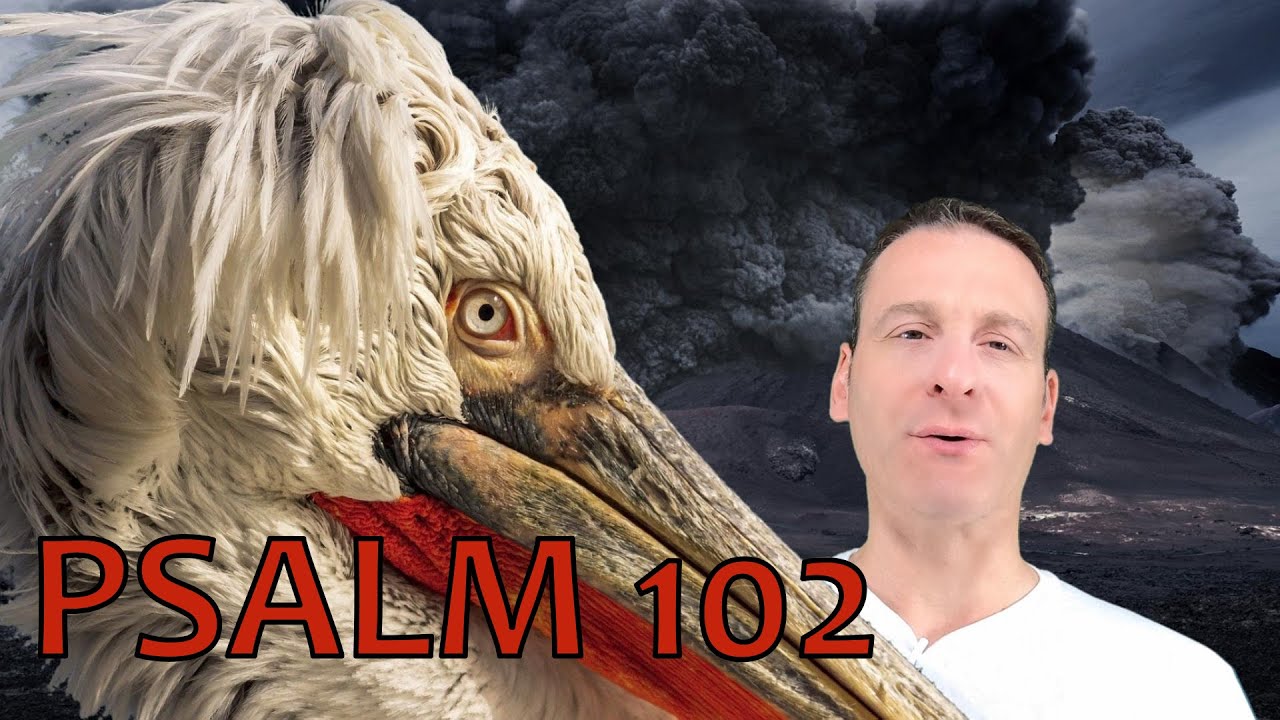 Psalm Chapter 102 Summary and What God Wants From Us