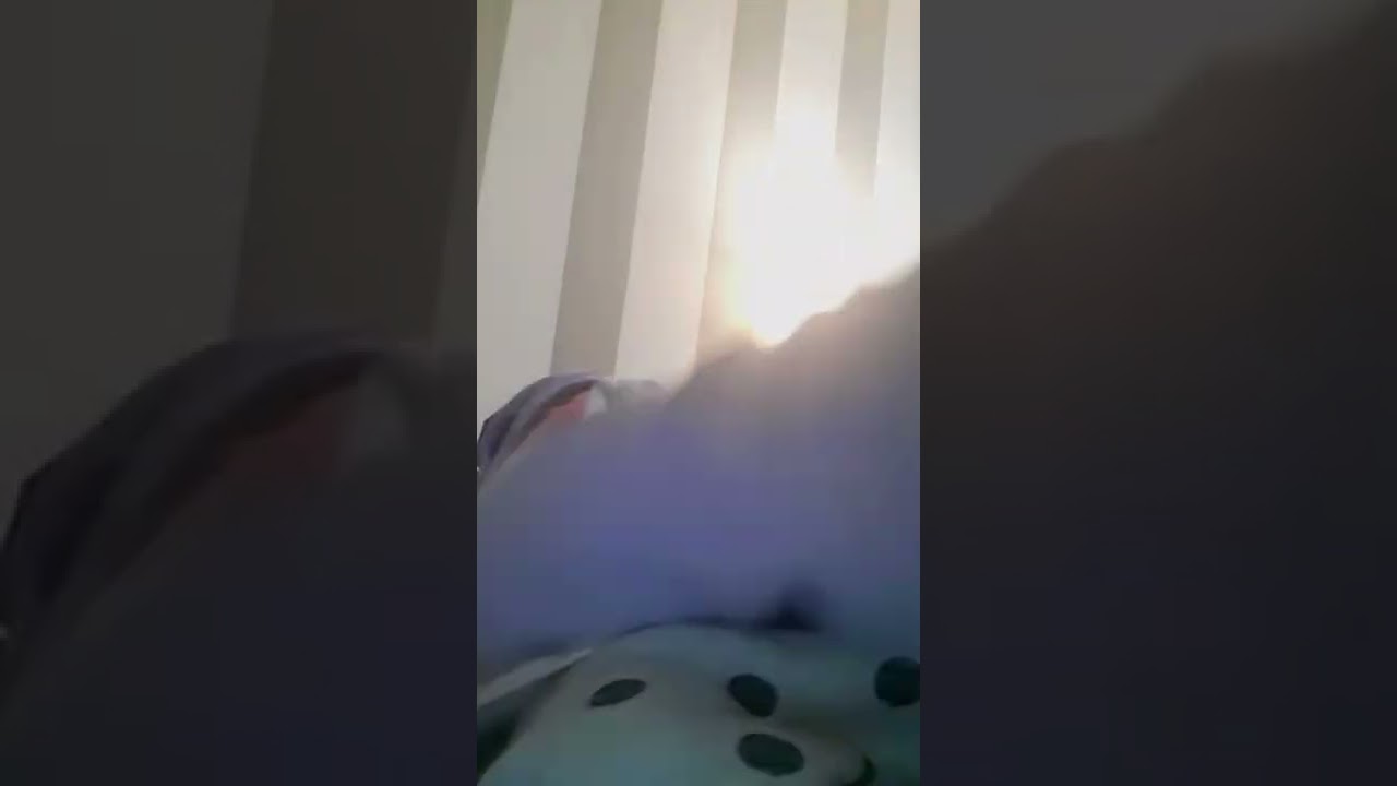 pt 2- rotina da noite🌙