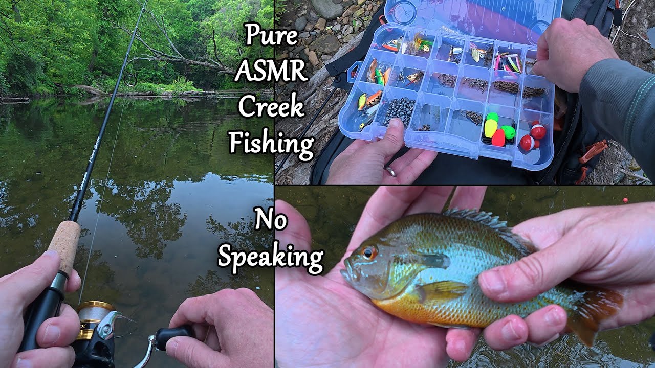 Pure ASMR Creek Fishing - No Speaking