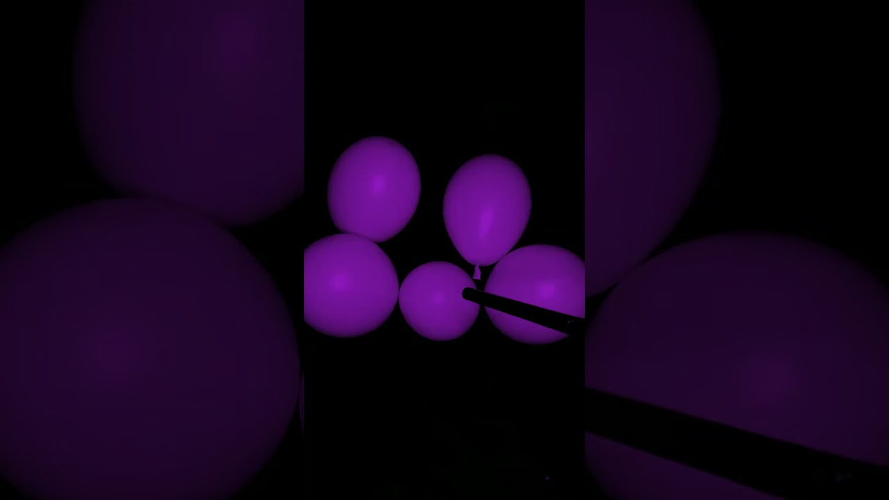 PURPLE BALLOON POP #balloon #purple  #popping #subscribe #shorts