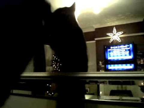 pussy work out