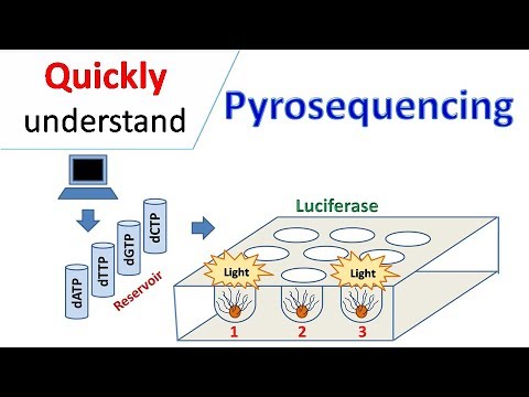 Pyrosequencing