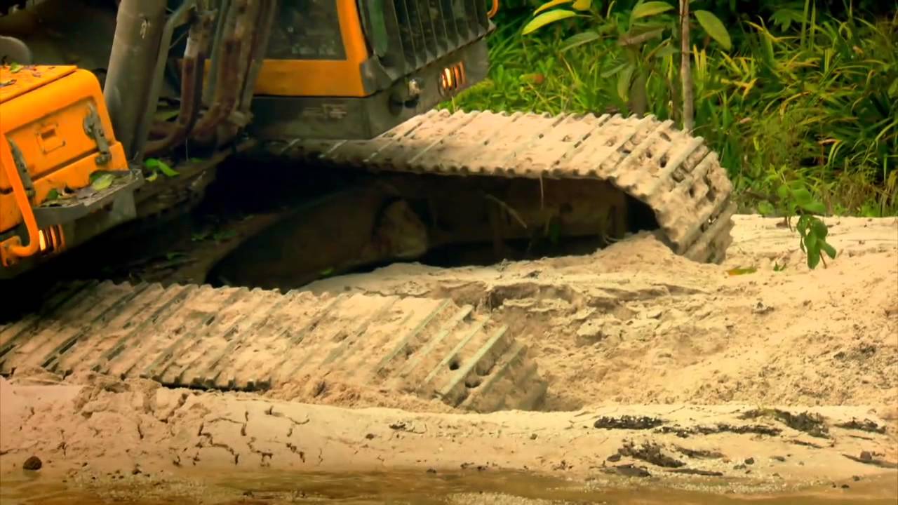 Quicksand | Gold Rush