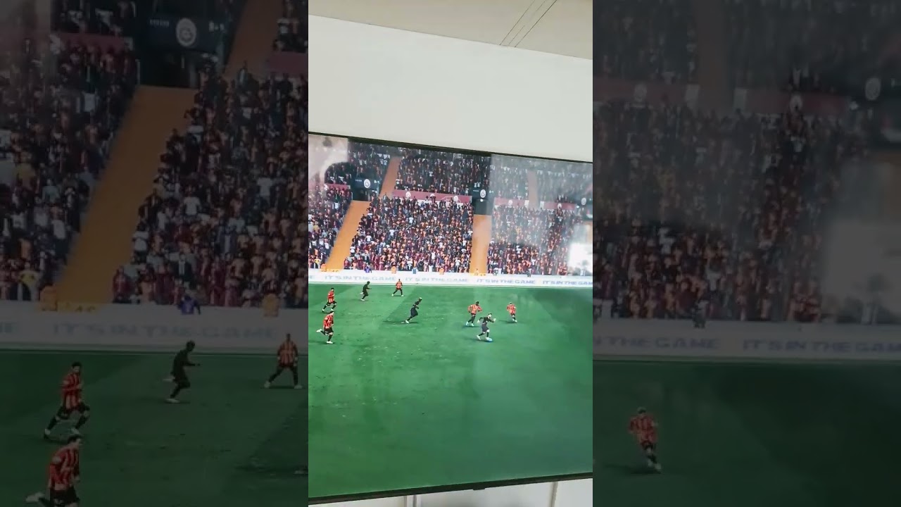 RAFA SİLVA TRİVELA
