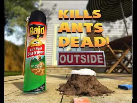 Raid Ant News