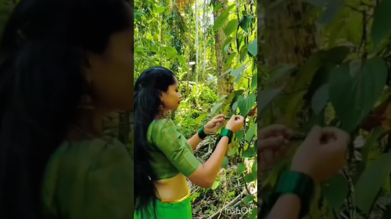 #rambha #ranjith #kalingal #kerala #trending  #viral #shorts #hot #kerala beauty