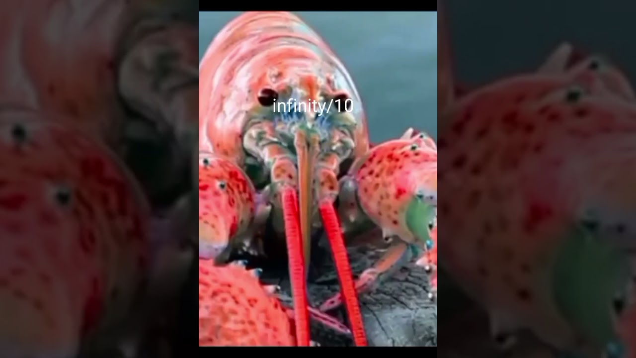 rating every lobster jumpscare