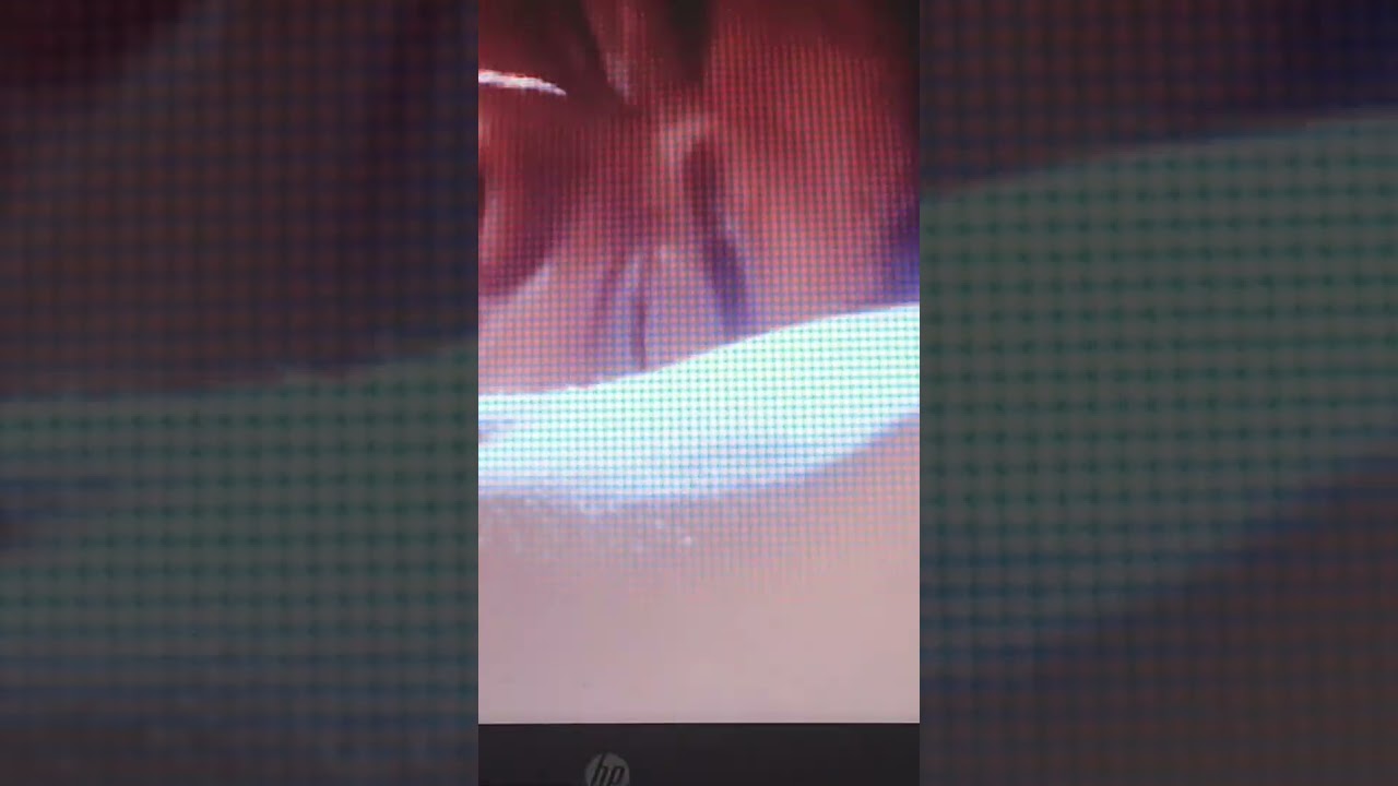 Raveen boobs navel