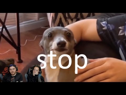 Reacting To Compilation Videos of Me 3