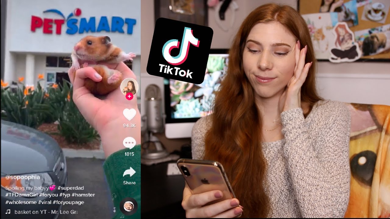 Reacting to TIK TOK Hamster videos
