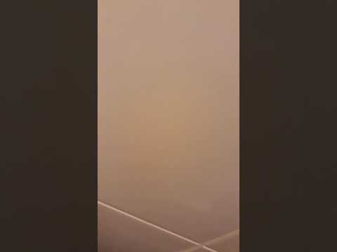 Real fart   very long version