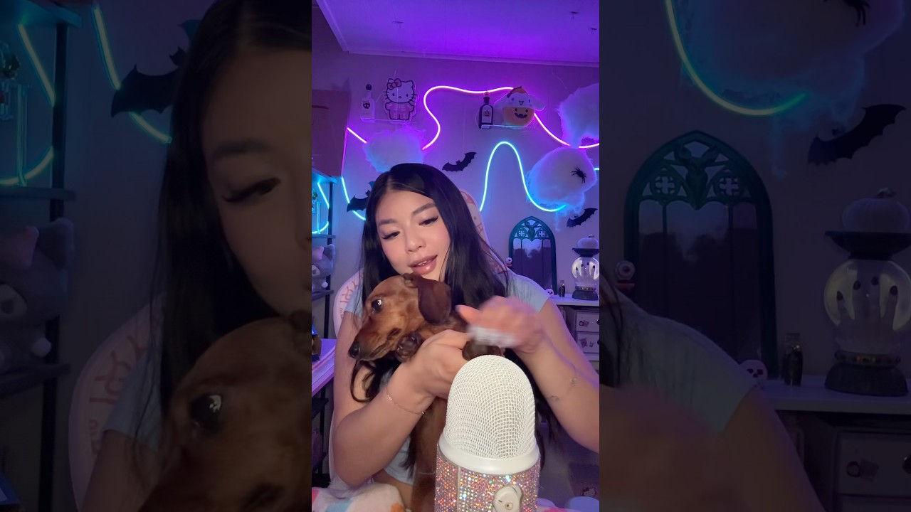Real or Fake🐶 #asmr #shorts
