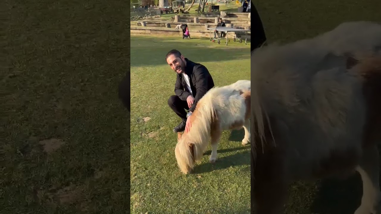RECEP DALGIÇ   GEL GÖR BENİ AŞK NEYLEDİ
