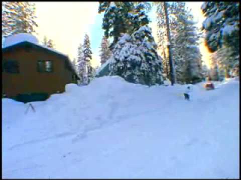 R.E.D. protection :: Shaun White