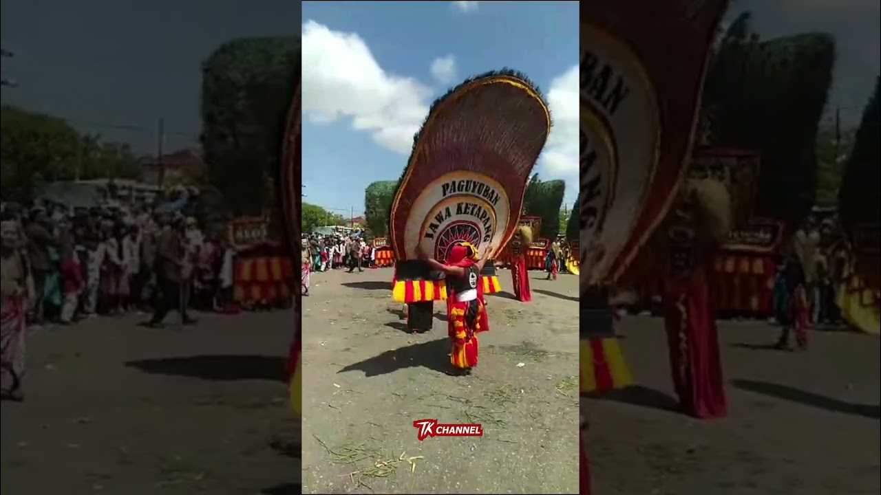 Reog Ponorogo Terkuat Angkat Pejabat di Ketapang Kalbar #shorts #reog #reogponorogo