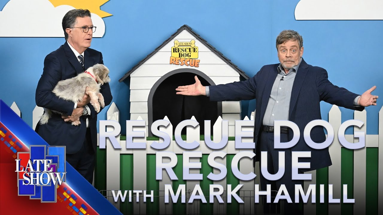 Rescue Dog Rescue with Mark Hamill