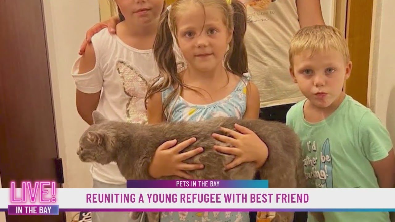 Reuniting a young refugee with her best friend