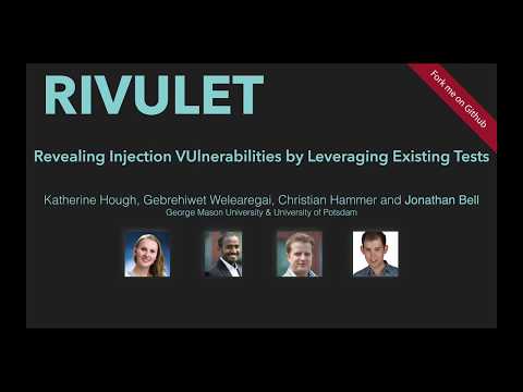 Revealing Injection Vulnerabilities by Leveraging Existing Tests