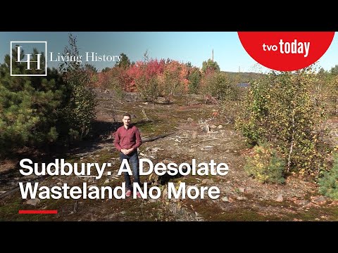 Reviving Sudbury: A Historic Green Transformation | Living History