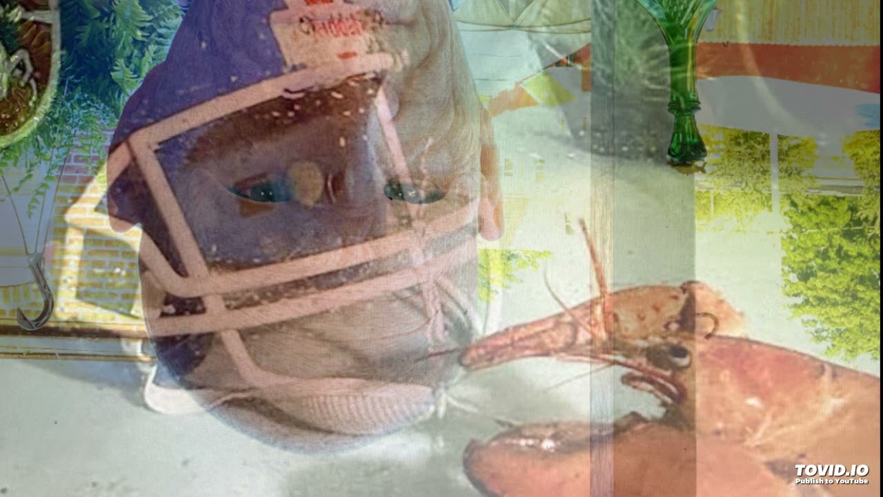 Riffin with Rizzuo news - Meet Crush, the lobster