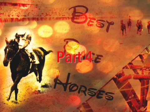 R.I.P Race Horses Mep