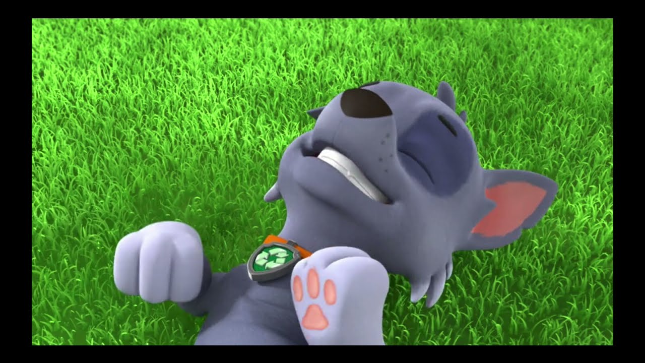 Rocky Tickled