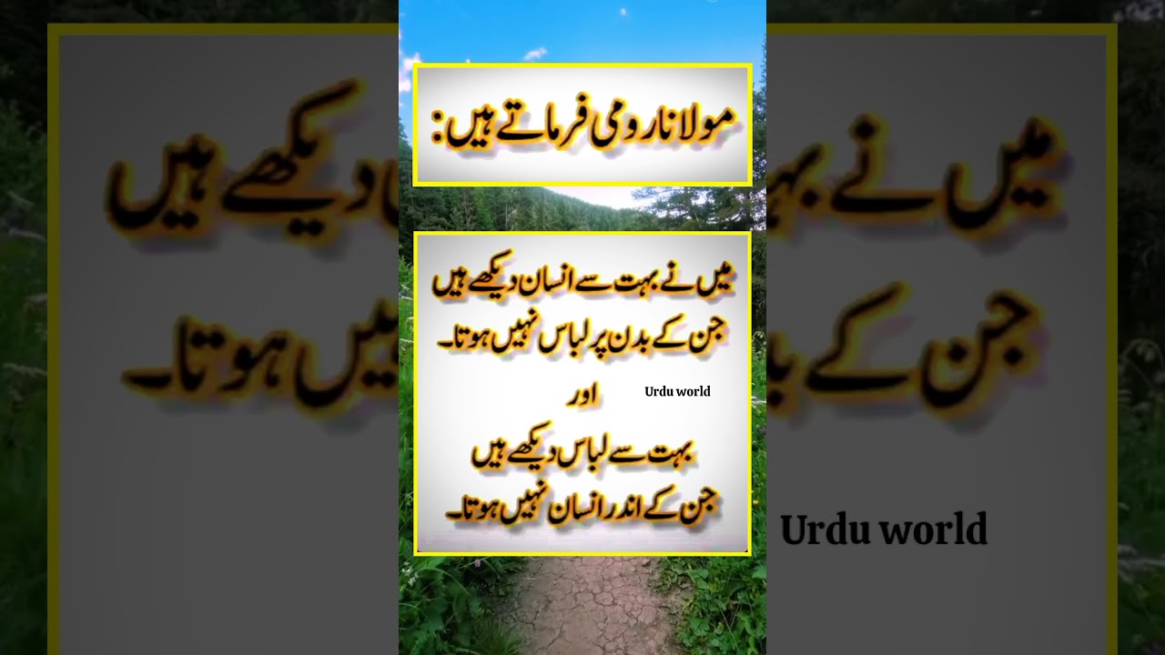 ROMI Quotes #urdu #urduworldachibateein #islamicsayings  #anmolthoughts #molanaromi #romiquotes