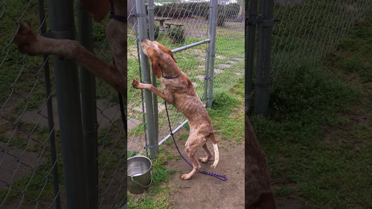 Rory meeting Nora 2