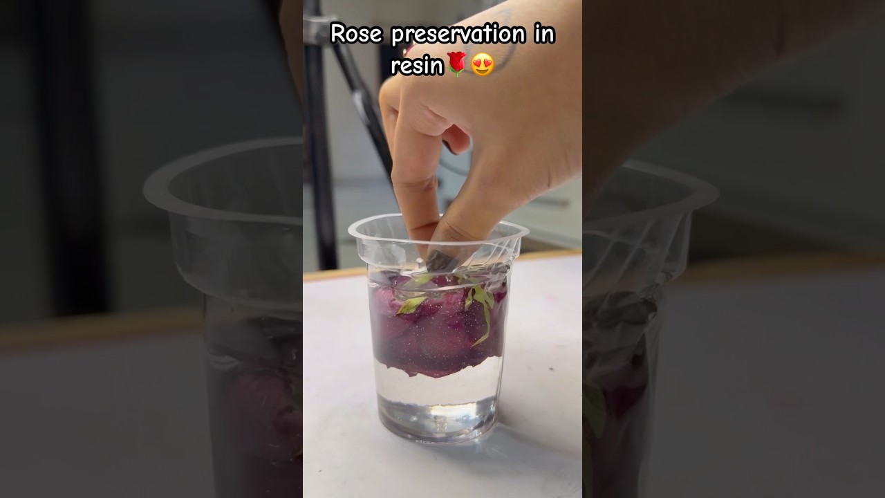 Rose preservation in resin🌹😱😍#subscribe #roseflower #preservation#flowerpreservation#resinflowers