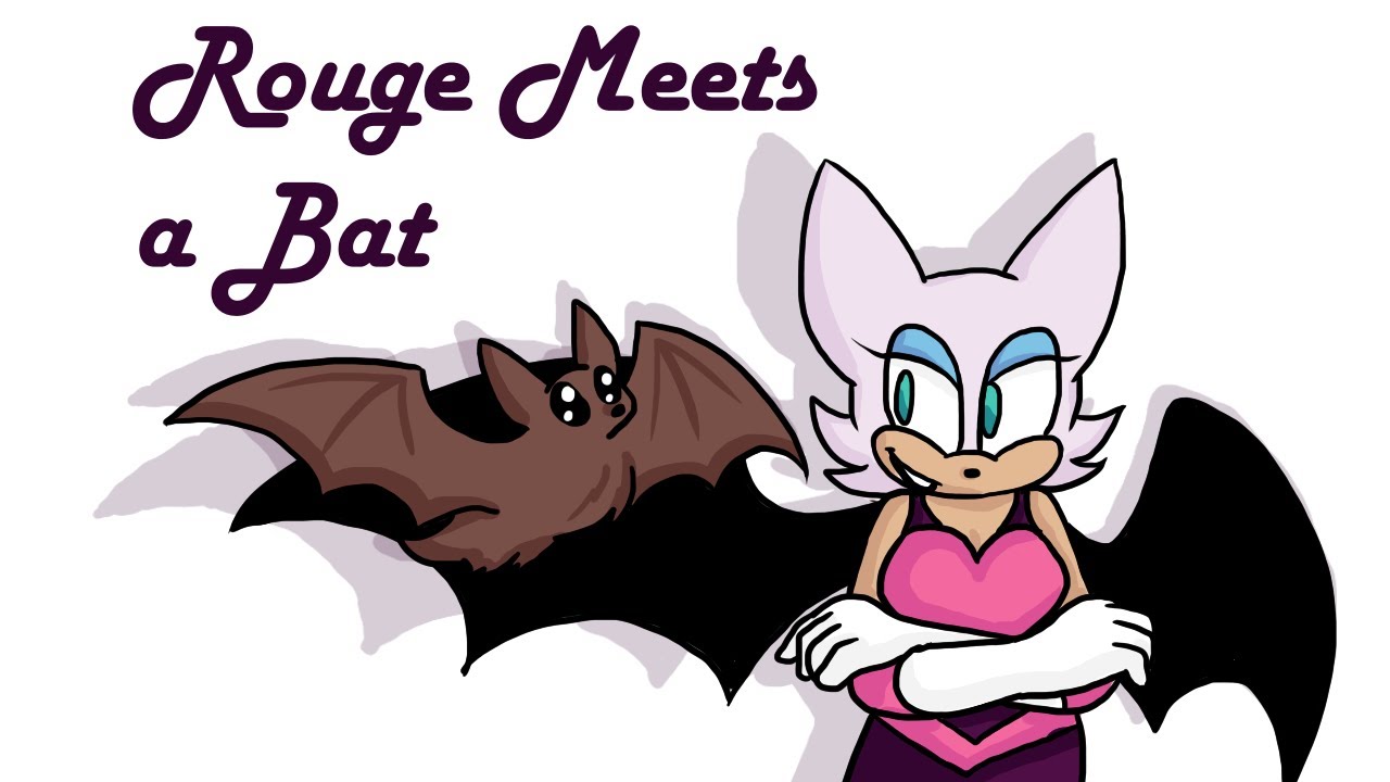 Rouge Meets a Bat