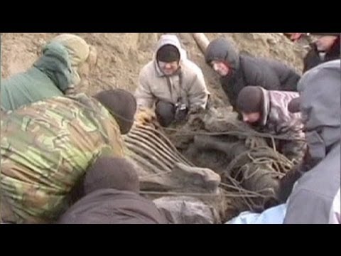 Rusya'da 30 bin yıllık mamut kalıntısı bulundu